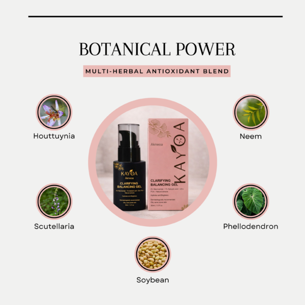 Kayoa KAYOA Akneoa Facial Clarifying & Balancing Gel – KAYOA – Science-Backed ...